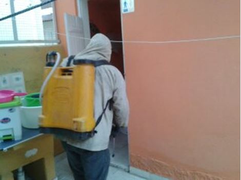 Controle de Pragas no Jardim Bonfiglioli