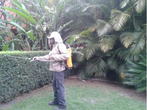 Empresa Dedetizadora no Jardim Represa