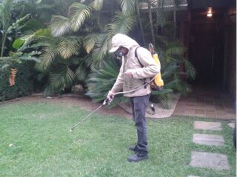 Empresa Dedetizadora no Jardim Vaz de Lima