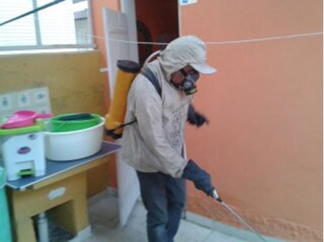 Controle de Pragas no Moinho Velho