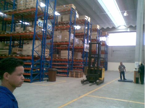 Dedetizadora Profissional em Jurubatuba