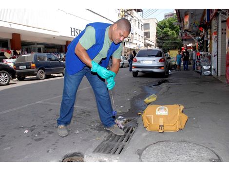 Desratização em Lauzane Paulista