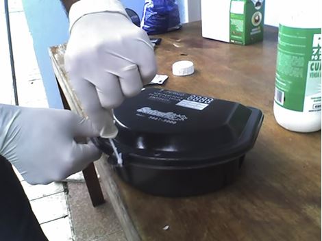 Desratizadora em Perus