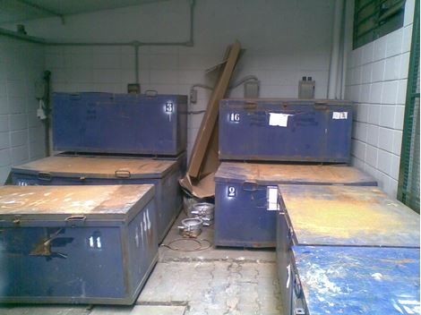 Dedetizadora Especializada na Vila das Mercês