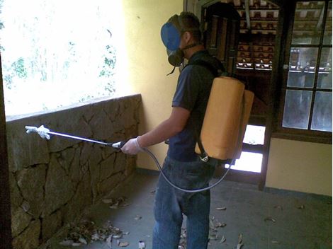 Serviços de Dedetizadora na Vila Ré