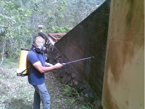 Serviços de Desratização no Pari