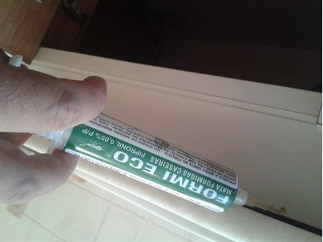 Dedetização na Quarta Parada