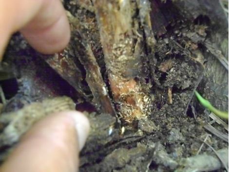 Controladora de Brocas em Itapecerica da Serra