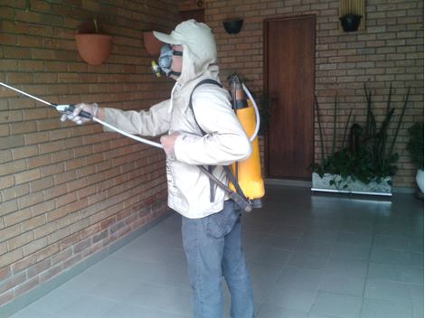Dedetizadora de Insetos em Itaquaquecetuba