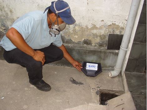 Controladora de Ratos em Mairiporã