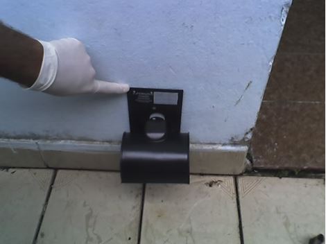 Controle de Ratos em Santos