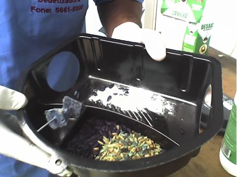 Ratos e Roedores em Vargem Grande Paulista