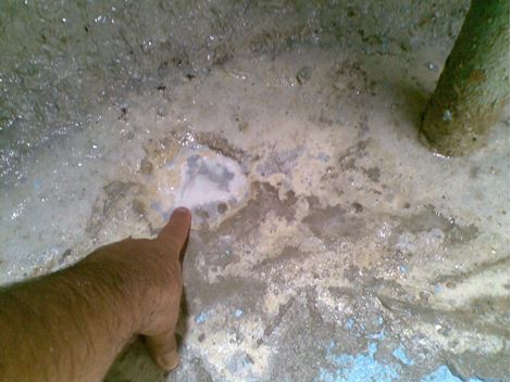  Limpeza de Caixa D'Água na Chácara Flora
