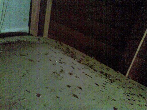  Limpeza de Caixa D'Água na Vila Albertina