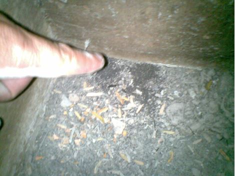  Limpeza de Caixa D'Água no Jardim Celeste