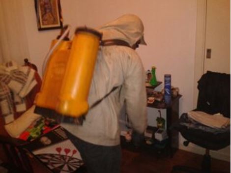 Dedetizadora na Vila Prudente