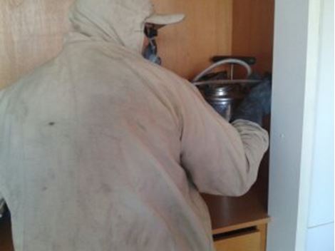 Empresa Dedetizadora na Vila Prudente