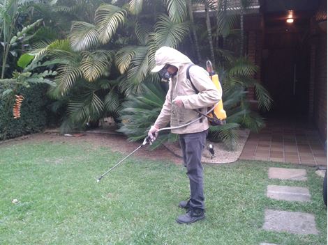 Dedetização de Pragas em Cipó