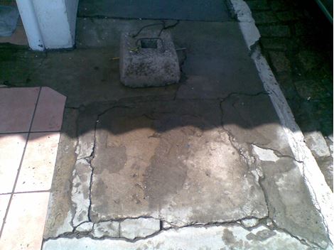 Dedetizadora em Cipó 24hs