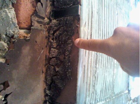 Controle de Brocas em Guarujá