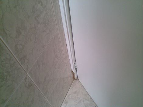 Controladora de Cupim em Taboão da Serra
